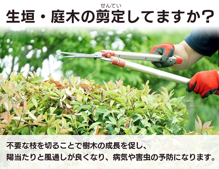 剪定してますか？