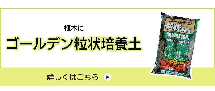ゴールデン粒状培養土 