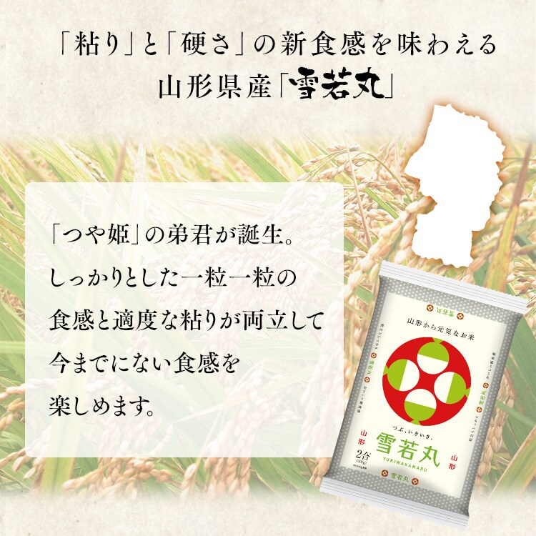 【新米】令和6年産 生鮮米 山形県産 雪若丸 300g1