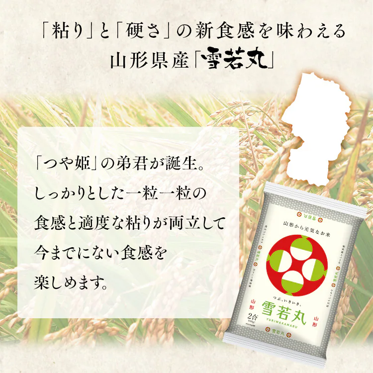 【新米】令和6年産 生鮮米 山形県産 雪若丸 300g1
