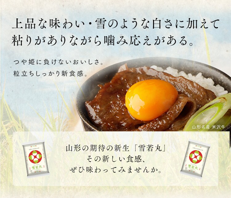 【新米】令和6年産 生鮮米 山形県産 雪若丸 300g3