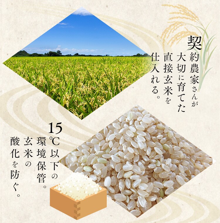 【新米】令和6年産 生鮮米 山形県産 雪若丸 300g6