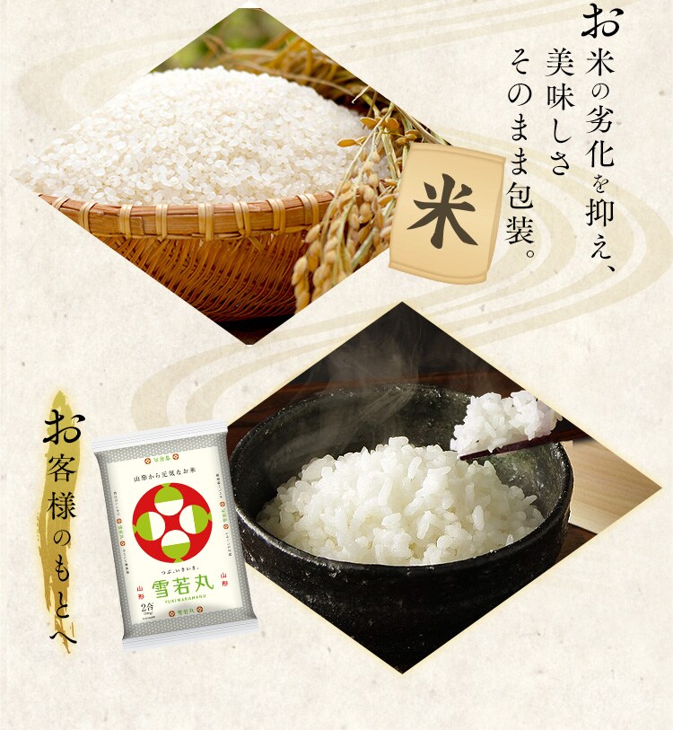 【新米】令和6年産 生鮮米 山形県産 雪若丸 300g7