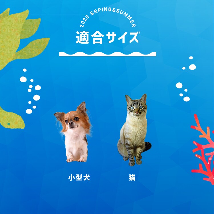ペット用クールベッド かき氷・ビーチボール3
