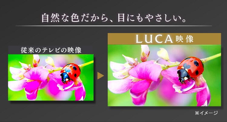 LUCA 4K対応液晶テレビ 43インチ LT-43B6206