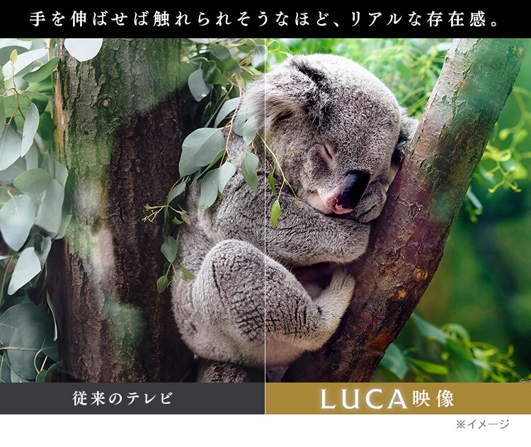 LUCA 4K対応液晶テレビ 43インチ LT-43B62016