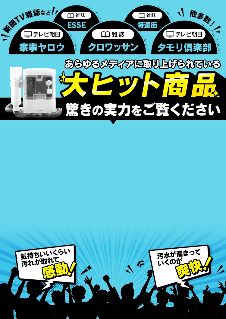 リンサークリーナー Rns 300 G アイリスプラザ アイリスオーヤマ公式通販サイト