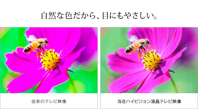 自然な色だから、目にもやさしい。