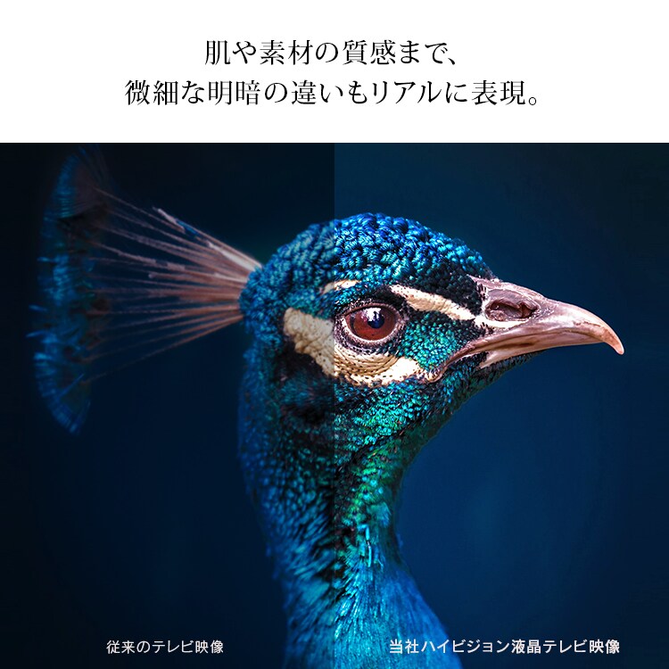 肌や素材の質感まで微細な明暗の違いもリアルに表現。