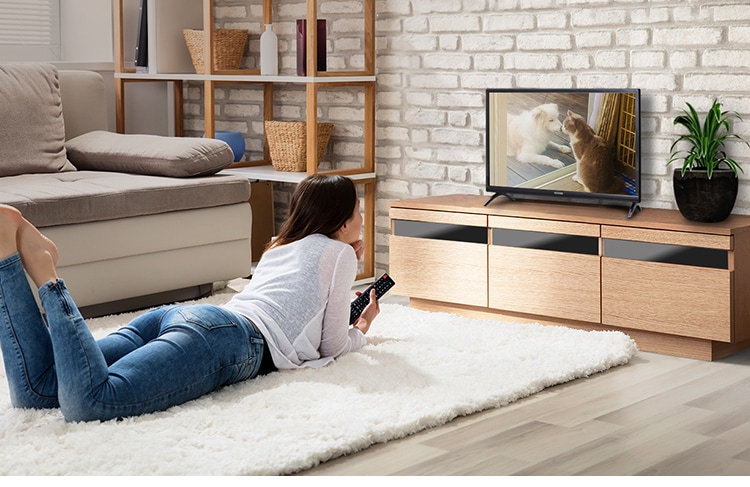 LUCA 液晶テレビ 24V型 LT-24B320 H573919 │アイリスオーヤマ LUCA 液晶テレビ 24V型 LT-24B320 H573919 │アイリスオーヤマ