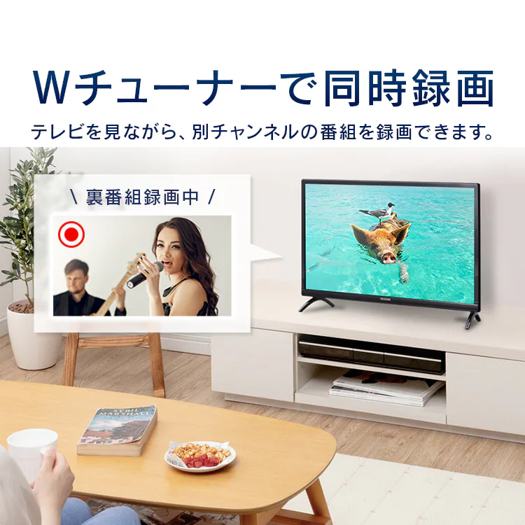 LUCA 液晶テレビ 24V型 LT-24B3208