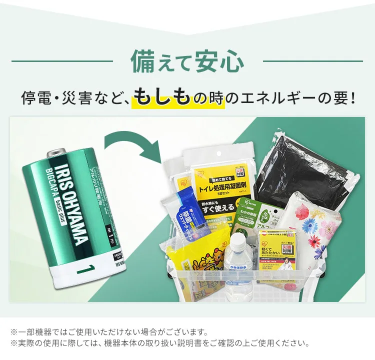 BIGCAPA basic+ 単1形アルカリ乾電池 全2種 LR20Bbp6