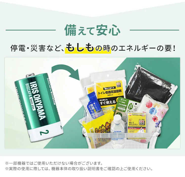 BIGCAPA basic+ 単2形アルカリ乾電池 全2種 LR14Bbp6