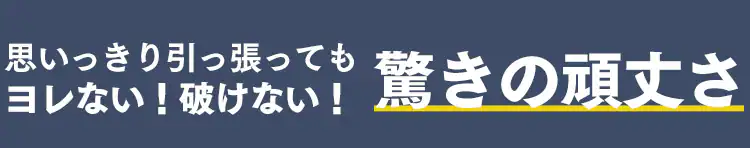 【10個】フローリングワイパー用 ドライシート FWS−W305