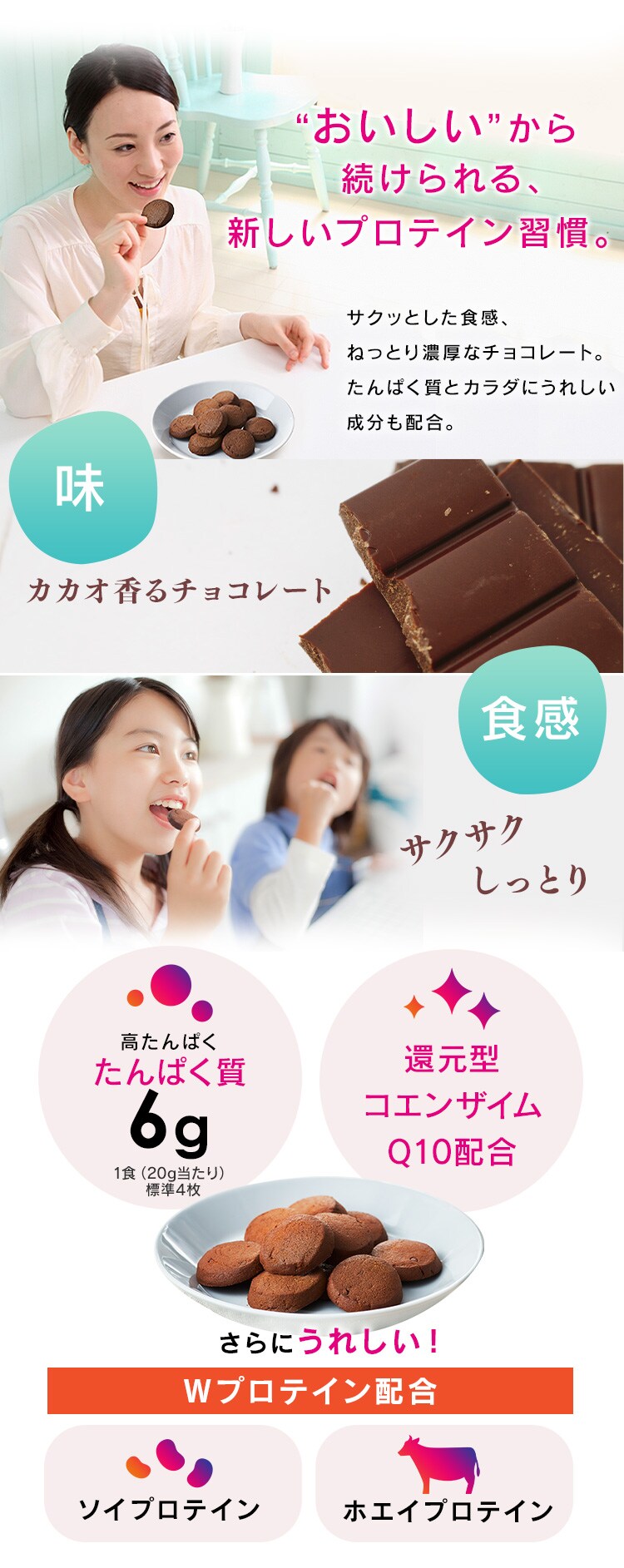 プロテインクッキー チョコ味 250g【プラザマーケット】 H574484│アイリスプラザ│アイリスオーヤマ公式通販サイト