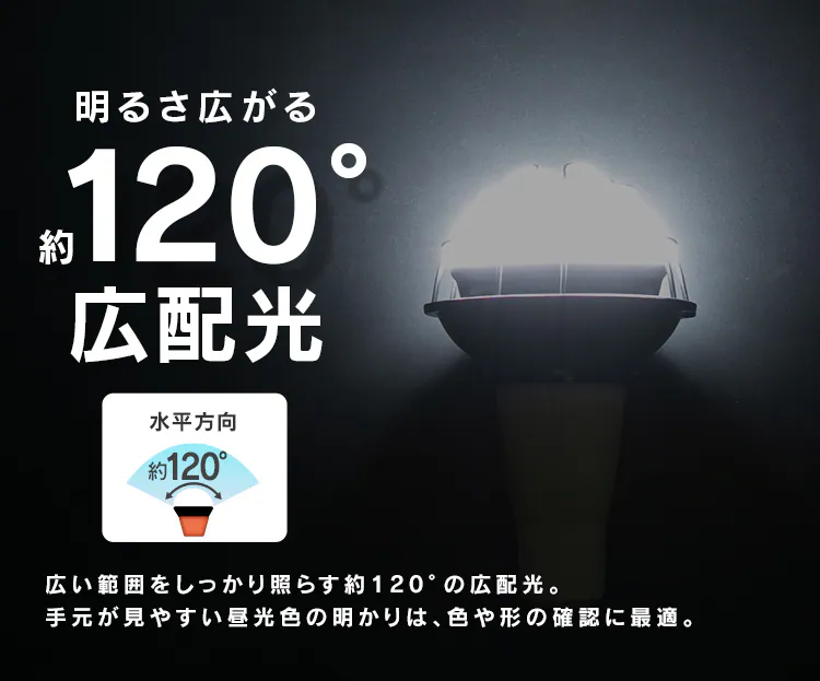 LED電球 投光器用 3000lm LDR25D-H-E39-E3