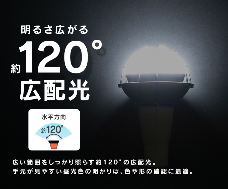 LED電球 投光器用 3000lm LDR25D-H-E39-E3