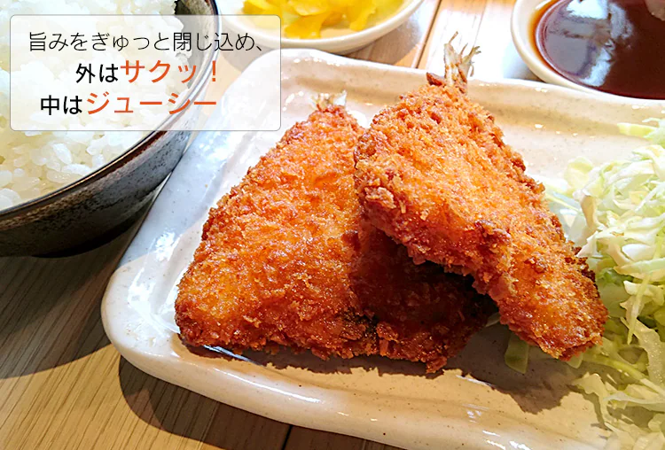 コンベクションオーブン シルバー FVC-D15B-S8