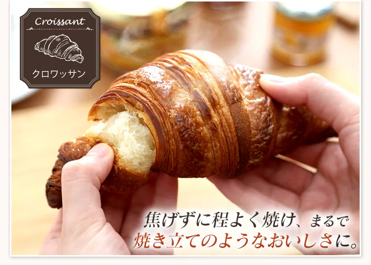 コンベクションオーブン シルバー FVC-D15B-S15