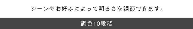 LED シーリングライト 12畳 調光 調色 スピーカー 工具・工事不要 リモコン付き 5年保証 CEA-2112DLSP5