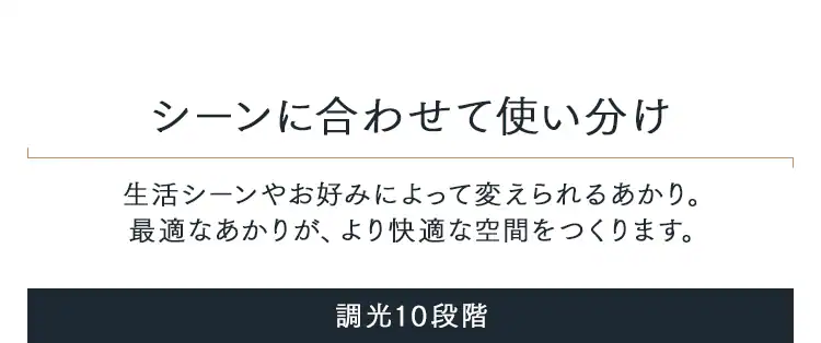 パネルライト 8畳  ホワイト2