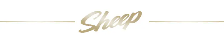 【14%OFF】【訳あり】マットレス シングル ポケットコイル 硬め 厚さ30cm PMTS30H-S Sheep【予約】13