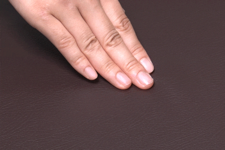 ペットステップ P−STP ブラウン8