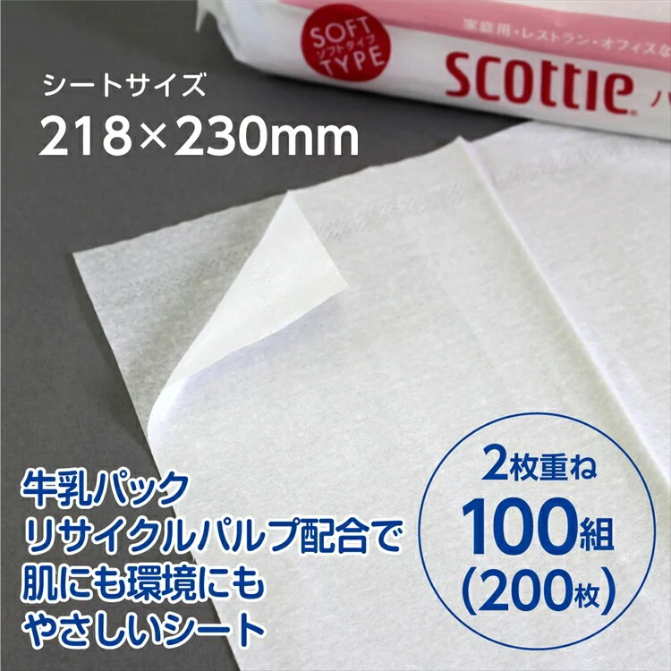≪9%OFF≫【60パック】 ペーパータオル ハンドタオル 100組 小判 大容量 200枚入(100組) 日本製紙クレシア 1パック×60個セット スコッティ2