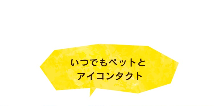 折り畳みミニペットカート 4輪 ストライプ犬 カート【前払い不可】【代引き不可】【同梱不可】7