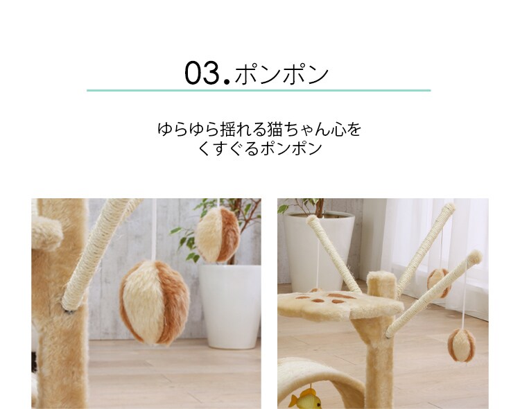キャットランド6