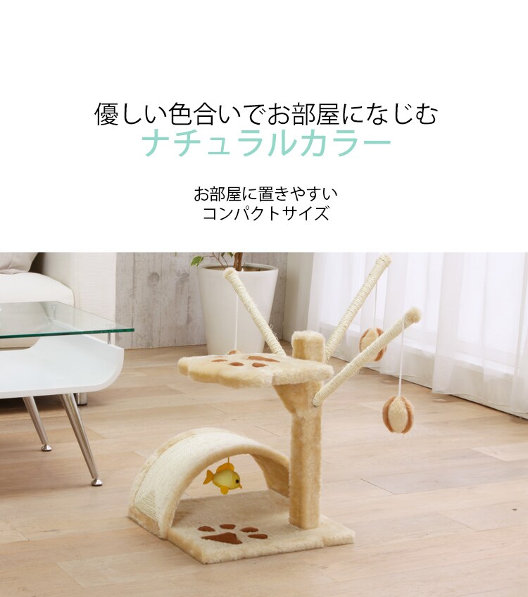 キャットランド9