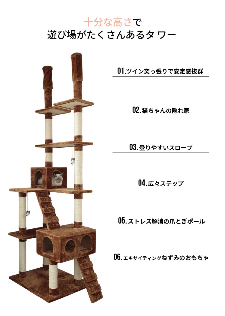 キャットランド QQ807861