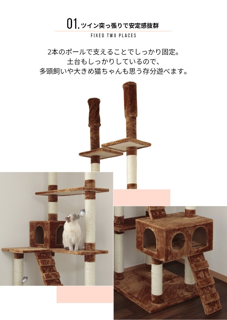 キャットランド QQ807862