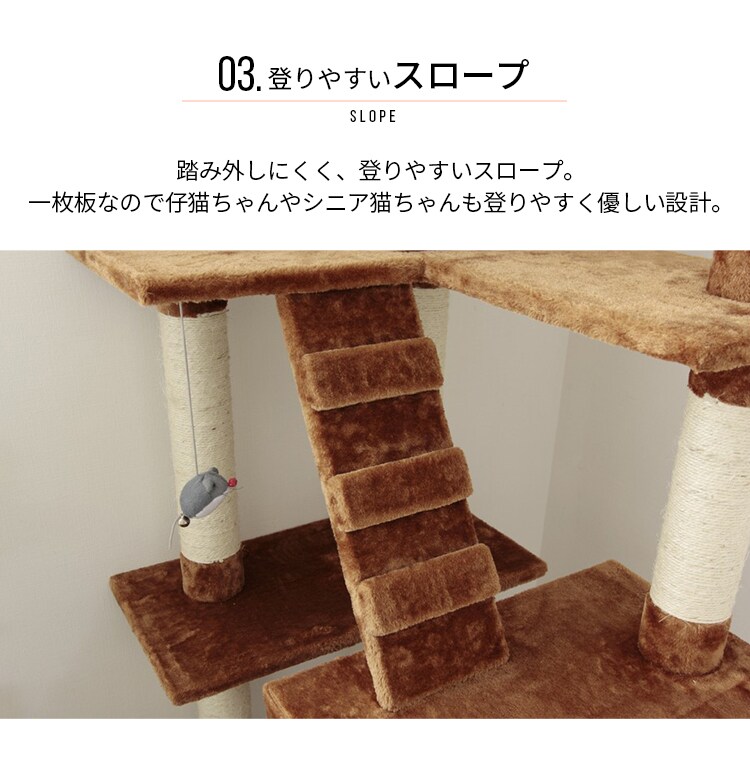 キャットランド QQ807864