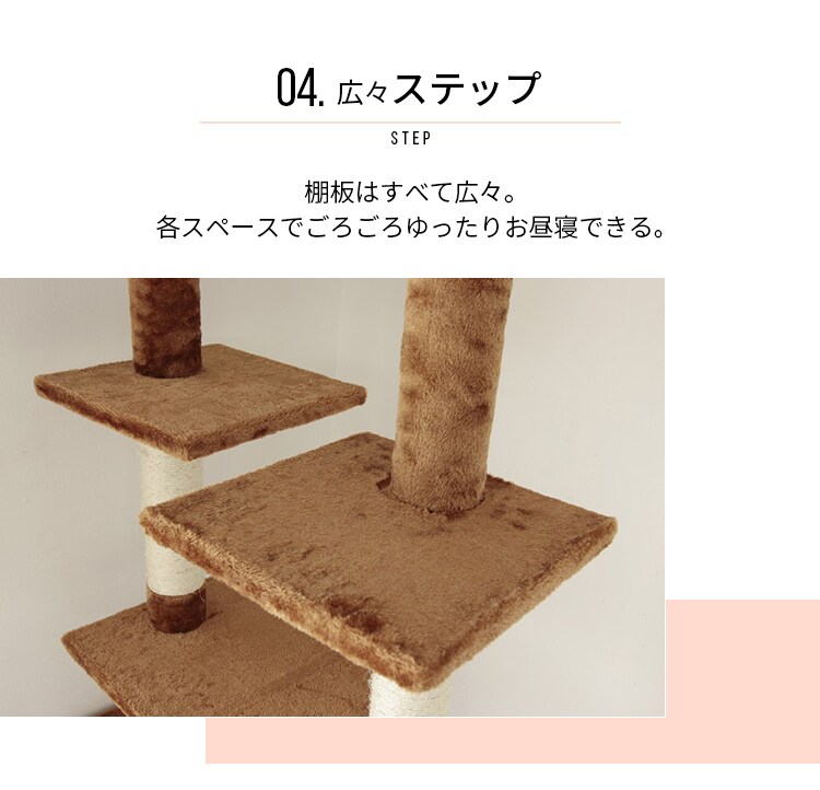 キャットランド QQ807865