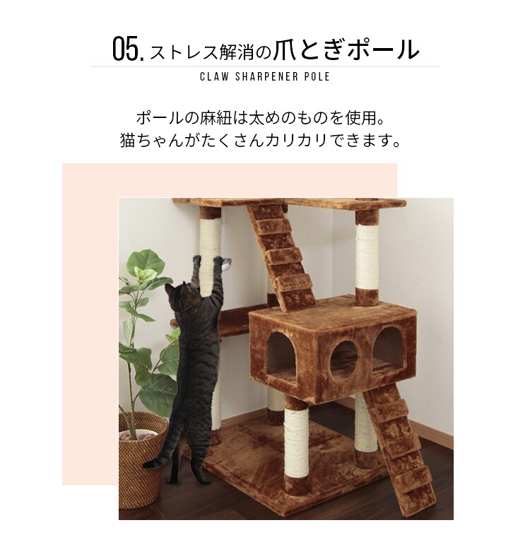 キャットランド QQ807866