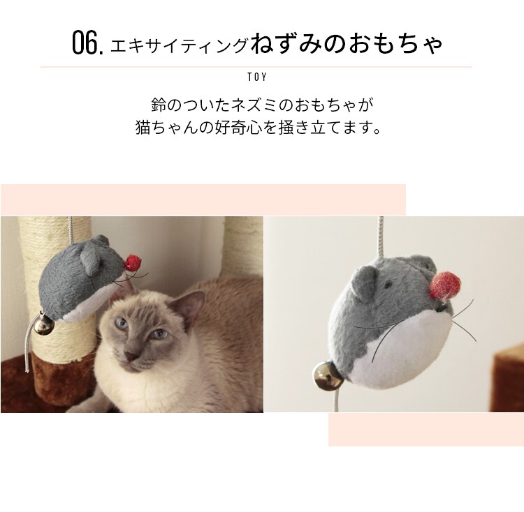 キャットランド QQ807867