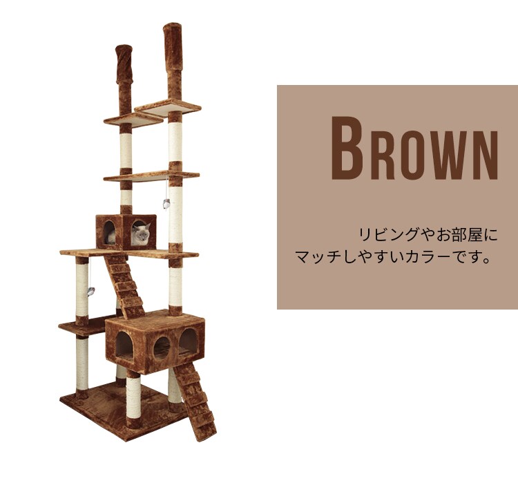 キャットランド QQ807868