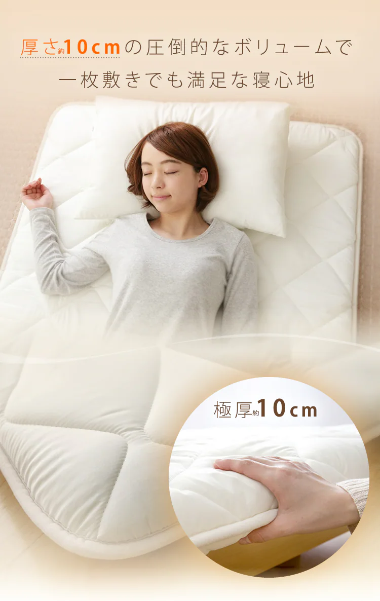 防ダニ敷布団10PS2536AC-6ZMI IV