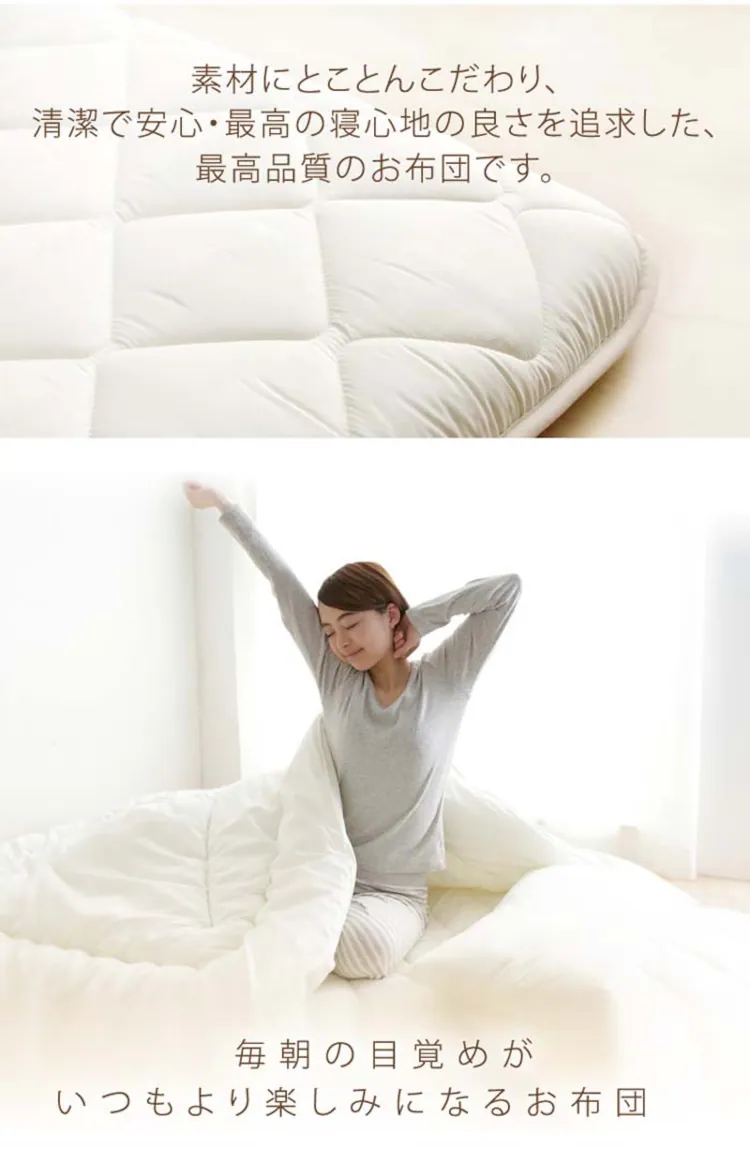 防ダニ敷布団10PS2536AC-6ZMI IV