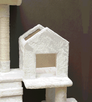 キャットランド おうち付全3色3