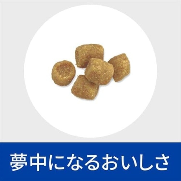 【2個セット】 ヒルズ 特別療法食 猫用 尿ケア c/d マルチケア フィッシュ入り 2kg キャットフード ドライフード2