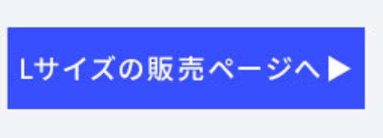 スーツケース Sサイズ 40L 拡張機能付き ダブルキャスター APL-S 全5色【プラザセレクト】4