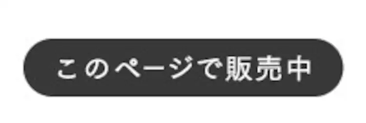 スーツケース Mサイズ 63L 4〜7泊 ダブルキャスター KD-SCK ツヤタイプ ガンメタル3