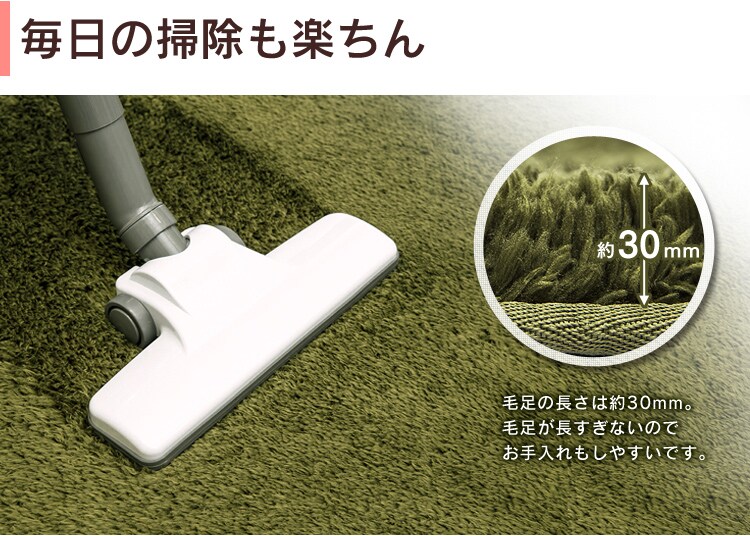 防ダニ加工　洗える マイクロファイバー シャギーラグ　円形 200×200 57076808 アイボリー6