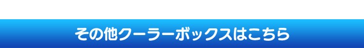 クーラーボックス 45L CB-G001-BL 10