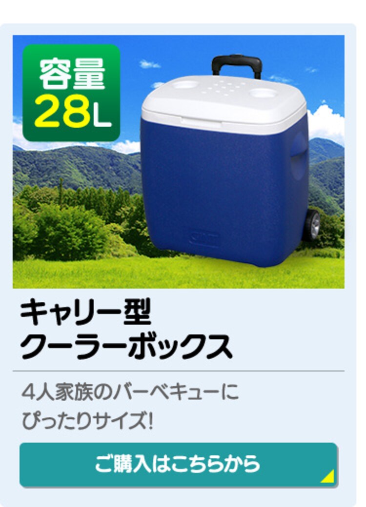 クーラーボックス 48L CB-G003-BL 12