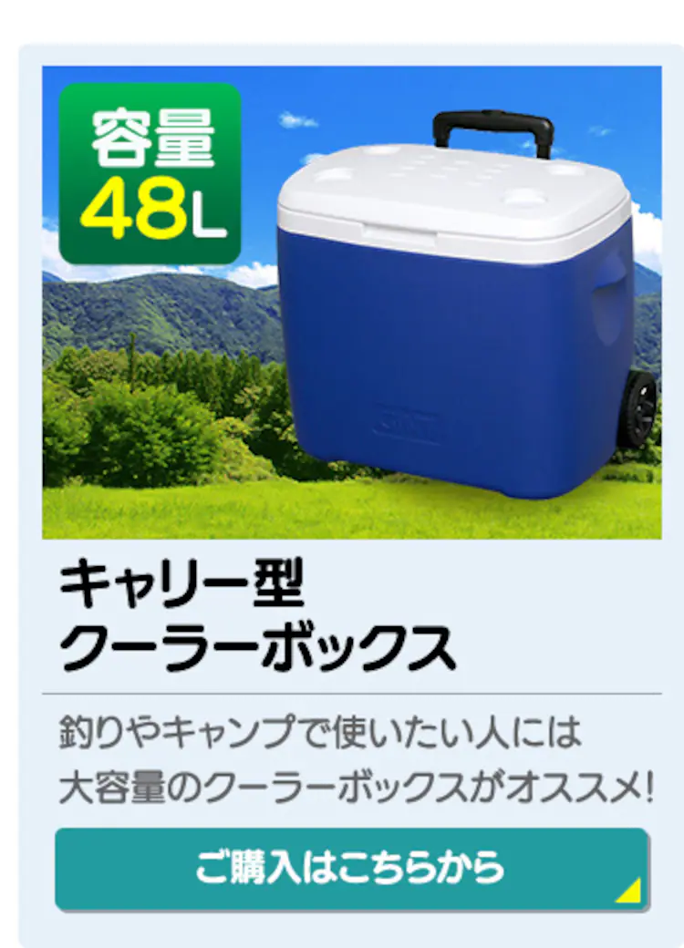 クーラーボックス 48L CB-G003-BL 13