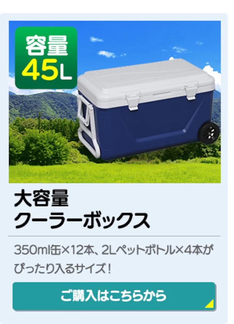 クーラーボックス 48L CB-G003-BL 15