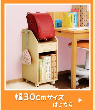 ロータイプ 幅30cm
